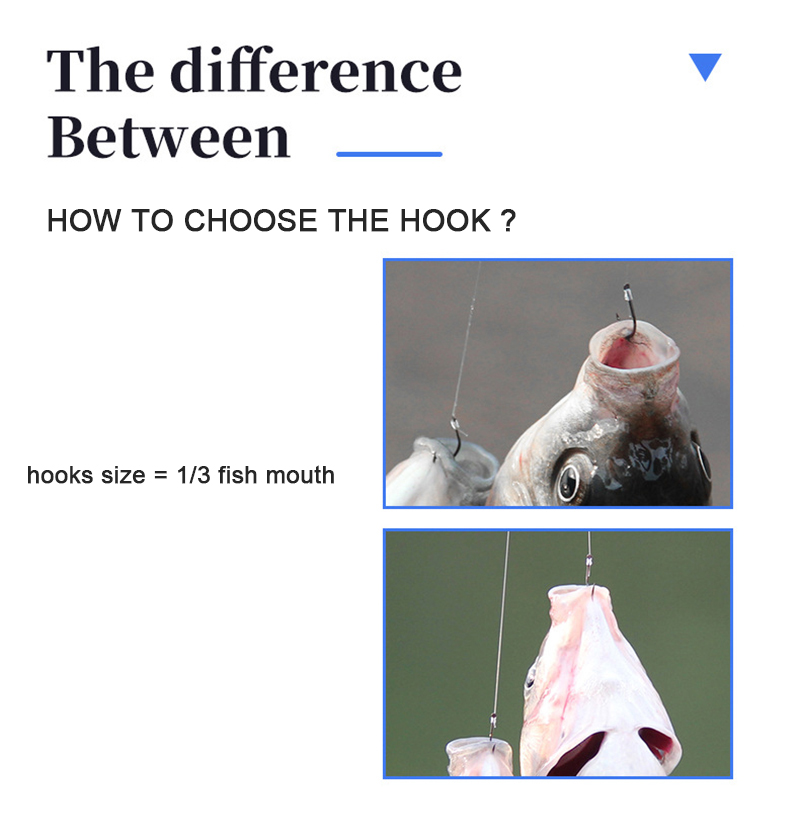 10 คู่ตะขอตกปลา Tippet 45 ซม.ช - Fishing Hook Assortment บทวิจารณ์และราคา