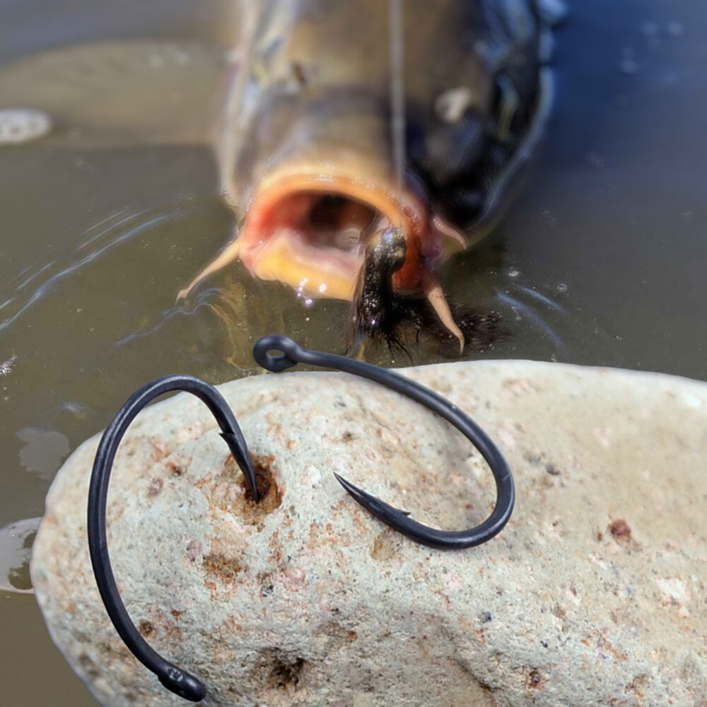 Hirisi ปลาคาร์พตะขอตกปลา 50 ชิ - Fishing Hook Circle บทวิจารณ์และราคา